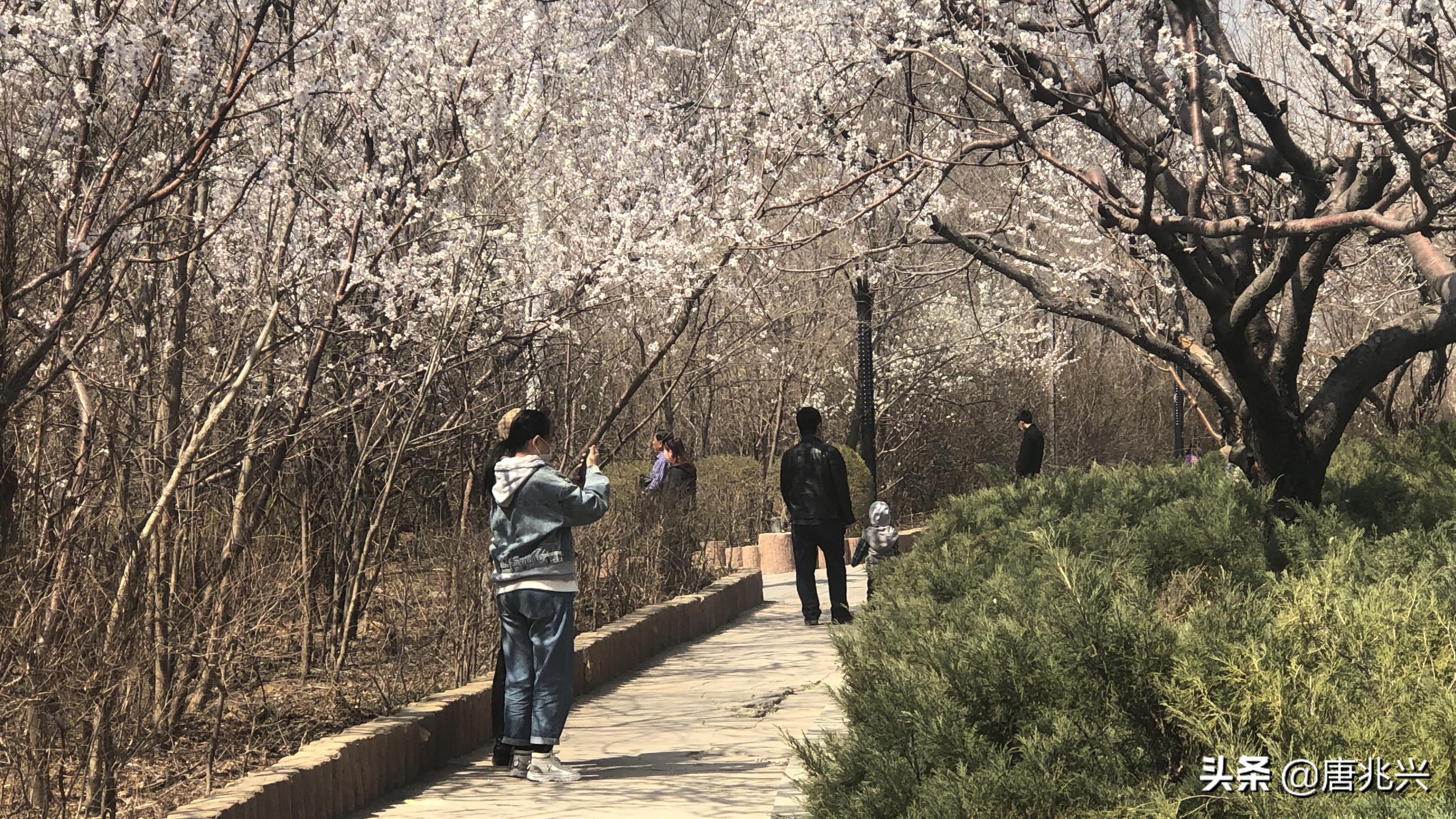 济南蟠龙山美景绽放，最新资讯惊喜连连