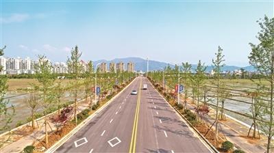 “温州道路安全新篇章，温馨出行资讯更新”