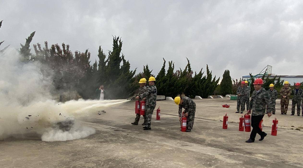 粮食安全最新动态