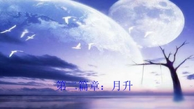 “夕阳映照情意浓：花甲恋曲新篇章”