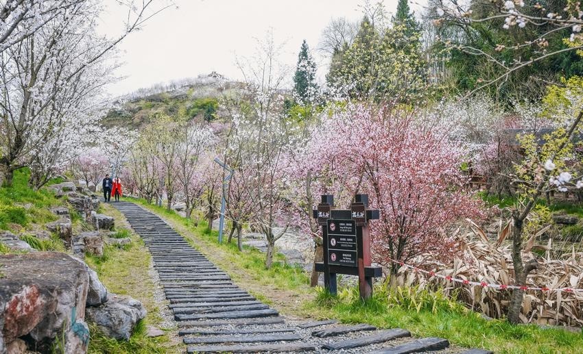 偶遇在街角