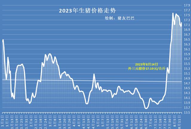 生猪市场最新动态：价格走势全解析